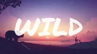 [FREE] Afro x Ethnic x UK Drill Type Beat - Wild | Central Cee Drill Type Beat 2024