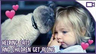 How to Help Cats Get Along with Children - Can They Be Friends?!