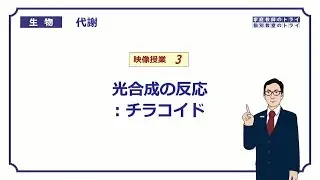 【高校生物】　代謝3　光合成の反応：チラコイド（２１分）