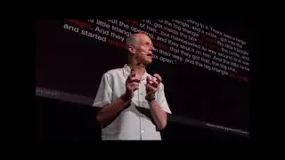 social & emotional processing  - amygdala