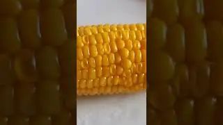 20 Haziran 2023