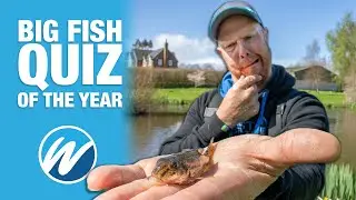 Catch The Answer Fishing Challenge | Andy May vs Jamie Hughes