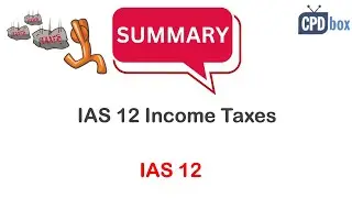 IAS 12 Income Taxes: Summary - applies in 2024