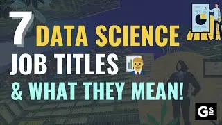 7 Data Science Job Titles and What they Mean! 👨‍💻