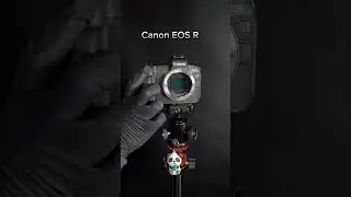 #2023 #reels #tiktok #foto #canon #fotografia #canonphotography #panda #shorts