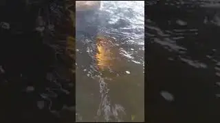 Резка металла под водой