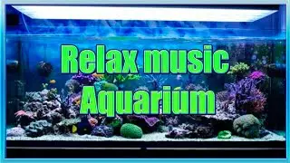 Relax music Aquarium | Аквариум под релакс музыку