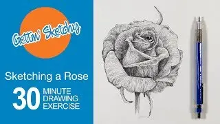 How to Sketch a Rose with Pencil - Gettin' Sketchy Live