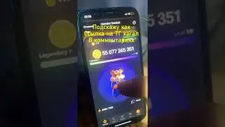 HAMSTER KOMBAT 