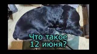 12 июня