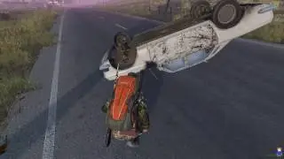 DayZ. Всё как оно было