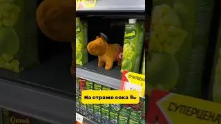 На страже сока 🦦