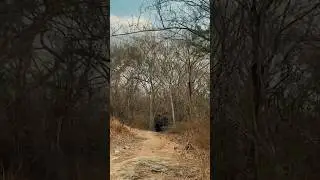 Encontré una cueva misteriosa #miedo #lugaresprohibidos #shortviral #videoshort