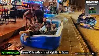 Pottukoiran VT:n Vesileikit & Potun Huutikset #pottukoira #subathon