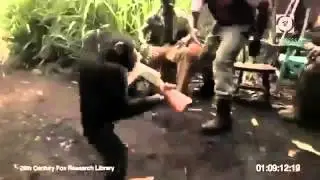 Война обезьян ОБОРЖАТЬСЯ 1)