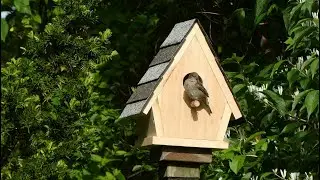 Birdhouse shingle roofing DIY (Part 2)