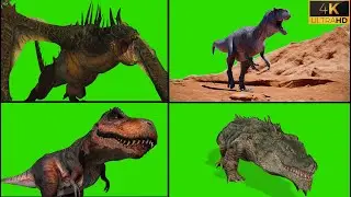 Animal green screen 4k Free.