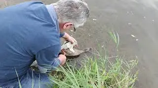 I was fishing and got caught...