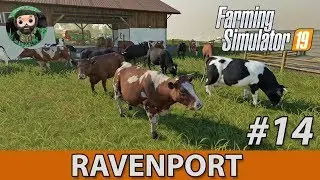 Farming Simulator 19 : Рейвенпорт #14 | Коровы