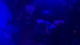 THE FLASH HITS