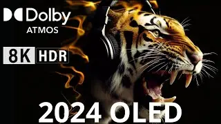 Special OLED Demo. Qled, LG, Samsung, LED, Sony, THX, DLP Intros, 8k HDR (60fps) Dolby Vision!