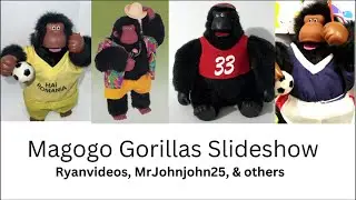 Magogo Gorillas Slideshow
