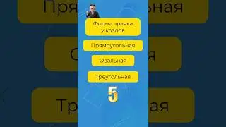 Тест на эрудицию с необычными вопросами