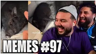 What's a pig doing here? 😂 Laugh Kick Episode DISHONORABLE MEMES #97