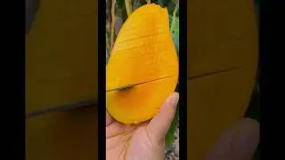 cut mango, unzip video