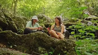A Cinematic Hiking Vlog In Shenandoah // Sony A7IV