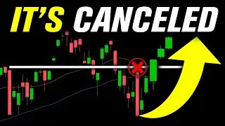 AI Bubble Crash CANCELED...