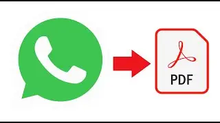 Can't open PDF on WhatsApp? 6 solutions for the mobile bug