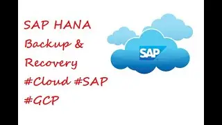 SAP HANA Backup & Recovery 