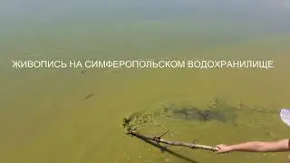 Я РИСУЮ НА ВОДЕ//ЧТО ЭТО???СИМФЕРОПОЛЬСКОЕ ВОДОХРАНИЛИЩЕ 31 ИЮЛЯ 2020,КРЫМ