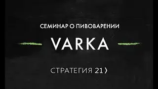 Семинар VARKA | Отзывы | Владимир Фёдоров | Стратегия 21