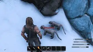 Conan Exiles - Sabretooth Kitten location