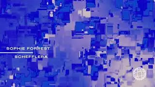 Sophie Forrest - Schefflera (Visualiser)