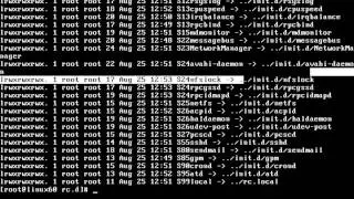 Linux Initialization