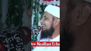 zindagi Je Kaie Wafa Halbo Madine De Zaror - Sain Ashiq Ali Rajpar -  barkat Program - NooRani Echo