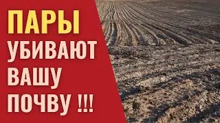 Нужны ли пары в севообороте?