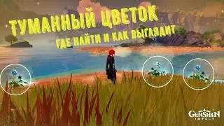 Туманный цветок genshin impact где найти и как он выглядит