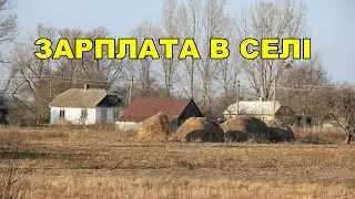 ЗАРПЛАТА В СЕЛІ.