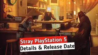 Stray PS5 Release Date And Details | Stray Game News | Hindi