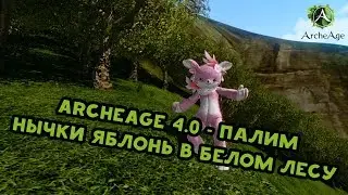 Archeage 4.0 Палим нычки яблонь в белом лесу. Эрнард.