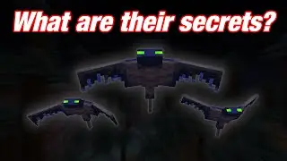 The Nightmare of the Phantoms | Minecraft Deep Dive
