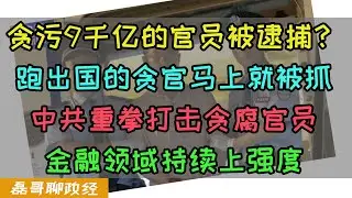 贪污9000亿的官员被逮捕？中共重拳打击贪腐官员，金融领域持续上强度，职务犯罪贪污犯7月份跑路8月份被抓，经济环境欠佳为何落马的高官越来越多？