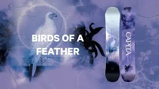 CAPiTA Snowboards | 2024 Birds of a Feather