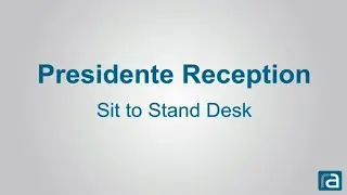 Presidente Reception Desk