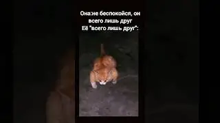 Мем 