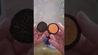 Обзор на печенье 'OREO' Апельсиновый вкус